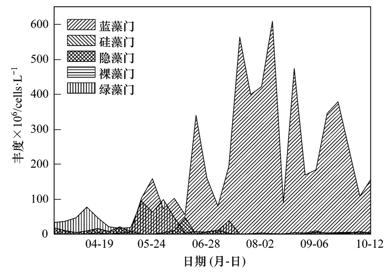 沙市兼职最新招聘动态及其影响