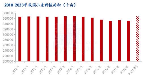 山东小麦最新价格动态分析