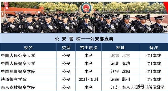 警校最新排名及其影响力探讨