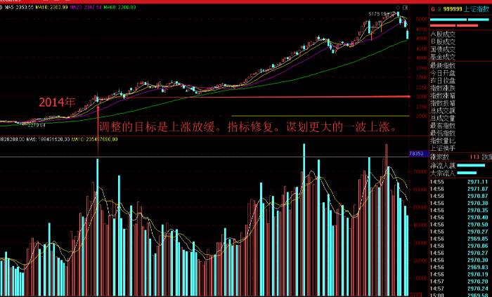 吾股丰登最新一期回放，深度解析与感悟