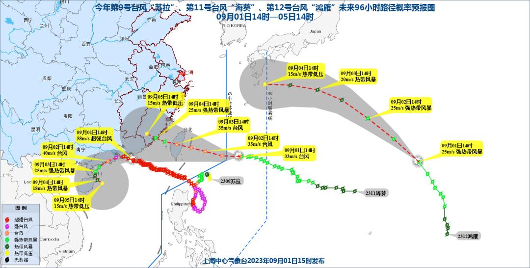 今天台风最新动态，影响及应对措施