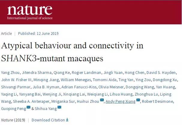 基因编辑技术最新突破，引领生命科学的新篇章