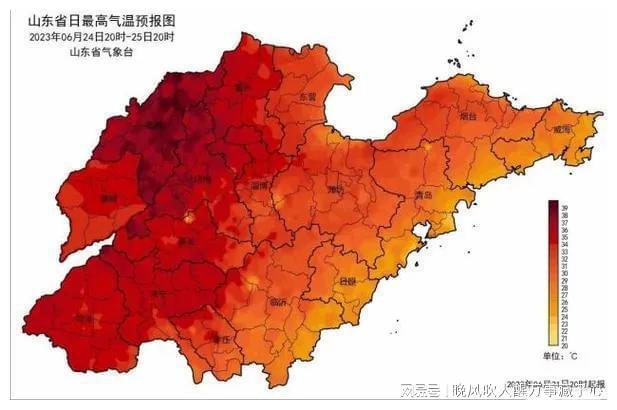 沾化最新天气预报